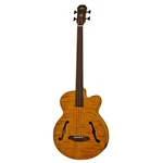 Aria FEB-F2/FL Electro Acoustic Bass Full Sized. Fixed Price $579.95.