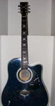 Esteban American Legacy Electric Acoustic Starlight Guitar, Case,amp,accessories. Fixed Price $174.99.