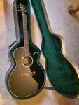 Takamine G-series Acoustic-electric Guitar With Original Hard Case. Fixed Price $375.00.