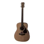 Rogue RA-110D Dreadnought Acoustic Guitar Natural Beige. Fixed Price $300.00.