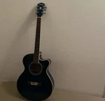 Electric Acoustic Guitar Washburn EA14ATB Blue. Fixed Price $736.00.