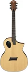 Forte Port Natural Acoustic Guitar. Fixed Price $379.99.