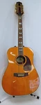 Epiphone 12 String Guitar (P10023237). Fixed Price $460.00.