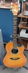Morris TR701 Acoustic Electric Guitar Safe Delivery From Japan. Fixed Price $410.27.