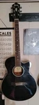 Ibanez Acoustic Electric Guitar AEG25E-TBK-3R-01. Fixed Price $225.00.