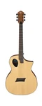 Michael Kelly Forte Port Acoustic Electric Guitar. Fixed Price $480.91.