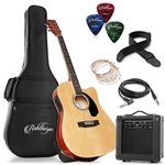 Thinline Cutaway Acoustic Electric Guitar Package With Eq & 10 Watt Amp. Fixed Price $166.99.