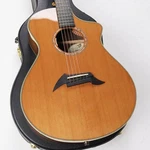 Breedlove C25/CRE Used Cedar Top Body Natural W/hard Case. Fixed Price $1590.99.