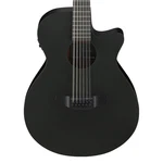 Used Ibanez AEG1221 12-STRING Acoustic-electric Guitar Black Out. Fixed Price $359.99.