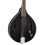 Moonbird Astyle Mandolin. Fixed Price $399.00.