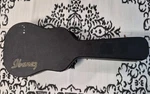 Ibanez Acoustic Guitar Case Tkl Hardshell. Fixed Price $99.00.