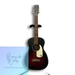 Gretsch G9500-2SB Jim Dandy Acoustic Guitar. Fixed Price $683.62.