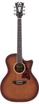 D'angelico Premier Gramercy Solid Top Electric Acoustic Guitar - Caramel Burst. Fixed Price $269.95.