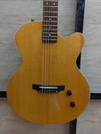 Yamaha AEX500NS Elegat. Fixed Price $778.75.