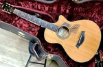 Taylor 612CE 12F Slotted Head Made Of Premium Maple Tiger Eye Material Grand Con. Fixed Price $4438.05.