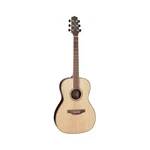 Takamine GY93-NAT New Yorker Acoustic Guitar, Natural. Fixed Price $879.22.