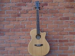 Recording King RGA-A9M-CFE4 Guitar. Fixed Price $403.64.