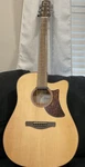 Ibanez AAD50LG Advanced Acoustic Series Guitar - Low Gloss. Fixed Price $269.99.
