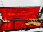 Lakland Skyline Series 55-01 Deluxe Spalted Maple 5-STRING Bass Guit (P04024009). Fixed Price $1099.99.