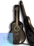 Rainsong Bi WS1000N2 Black Ice With Hard Case. Fixed Price $4656.25.