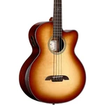 Alvarez AEB70CE Acoustic-electric Bass Shadow Burst. Fixed Price $899.99.