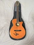 Ibanez AEG10N11 Acoustic-electric Nylon String Guitar. Fixed Price $165.32.