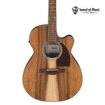 Ibanez PC50WSCE Acoustic-electric Guitar Open-pore Natural. Fixed Price $219.99.