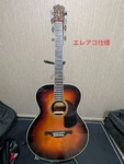 James Electric Acoustic Guitar With Modified Preamp, Low String Action. Fixed Price $448.25.