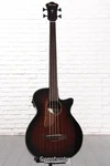 Ibanez AEGB24FE Fretless Acoustic-electric Bass Guitar Mahogany Sunburst. Fixed Price $476.99.
