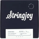 Stringjoy 4-STRING Long Scale Nickel Wound Bass Guitar Strings, Light Gauge. Fixed Price $28.99.