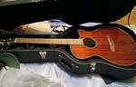 Ibanez AEG62 Acoustic Guitar + Case Grab Now Excellent Condition. Fixed Price $100.00.