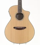 Breedlove AC25/SR Plus 06041903. Fixed Price $1121.00.