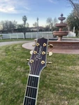 Rare Takamine Dmp 200N. Fixed Price $3200.00.