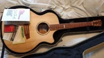 Rare Cole Clark CCAN2EC-BB-MJ. Fixed Price $3086.34.