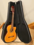 Carlo Robelli New York Cc - 3905 Eqx Guitar With Hard Case. Fixed Price $119.00.