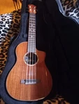 Cordoba 35T-CE Tenor Electric/acoustic Solid Acacia W/abalone & Mother Of Pearl. Fixed Price $555.00.