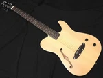 Schecter Ol-fl-p Sntl Oriental Line Thin Body Hole Electric Acoustic Guitar. Fixed Price $425.09.
