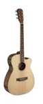 James Neligan Asy-ace Asyla Series Auditorium Cutaway Acoustic-electric Guitar. Fixed Price $417.25.