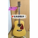 Acoustic Guitar Ibanez PF60NT-1203 Natural. Fixed Price $468.00.