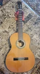 Antonio Giuliani CL-6 Classical Acoustic Guitar Kennedy Violin Excellent Cond. Fixed Price $389.00.
