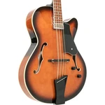 Gold Tone Mandocello Archtop In Sunburst With Case. Fixed Price $1399.99.