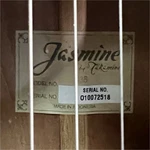 Jasmine By Takamine S38 Dreadnought Acoustic Guitar 6 String Brown Right-handed. Fixed Price $170.00.