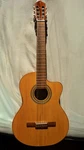 Lucero LC150SCE Acoustict/electric Guitar With Soft Case Used Good Condition. Fixed Price $250.00.