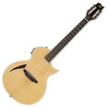 Esp Ltd TL-6N Nylon String Acoustic Electric Guitar Natural Finish B-stock. Fixed Price $535.20.