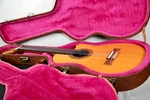 Gibson Chet Atkins Ce 1980S Nylon String Electric Guitar Usa. Fixed Price $3419.43.