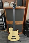 Godin A5 Ultra Fretless Ae Acoustic Electric Guitar Safe Delivery From Japan. Fixed Price $3641.95.