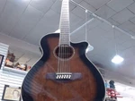Ibanez Ibenez SGT220 (FC2016498). Fixed Price $299.99.