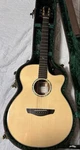 Faith FVHG3 Higloss Venus Acoustic Guitar Safe Delivery From Japan. Fixed Price $2093.01.