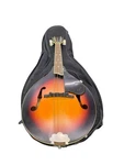 Gretsch New Yorker Mandolin G9320 W/ Road Runner Soft Case! (AZP030608). Fixed Price $259.99.
