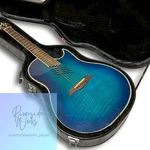 Aria Electric Acoustic Guitar With Hard Case Rare Blue. Fixed Price $465.16.